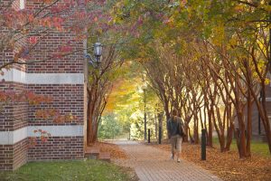 U of R (University of Richmond) views - by U of R