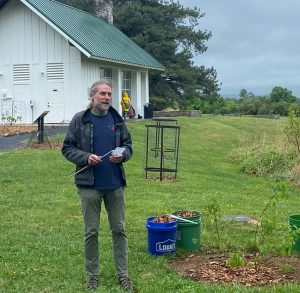 2023 Tree of the year at Blandy Experimental Farm